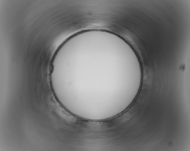 X0000110921336200907091448