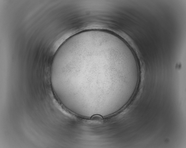 X0000110921337200907091448