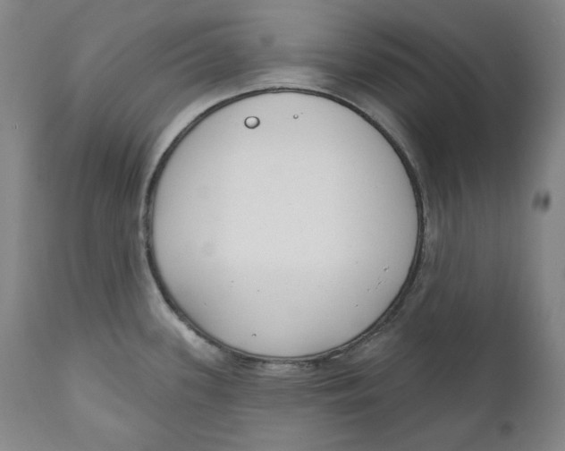 X0000110921339200907091448