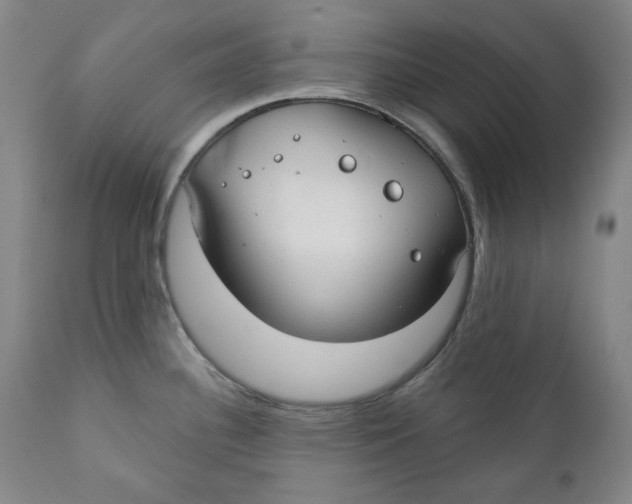 X0000110921340200907091448