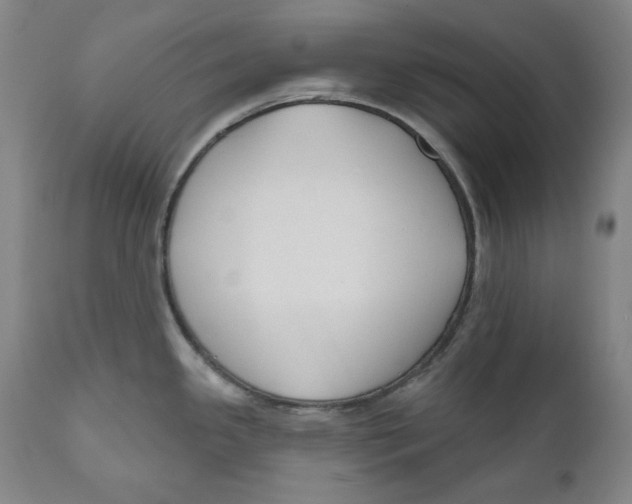 X0000110921341200907091448