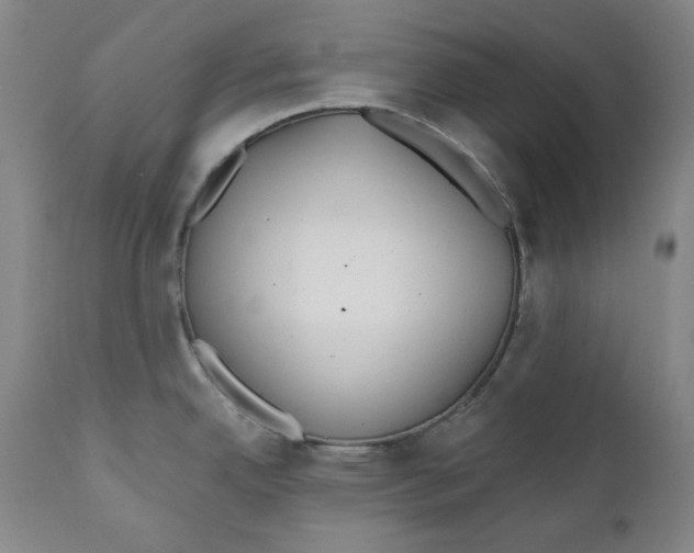 X0000110921342200907091448