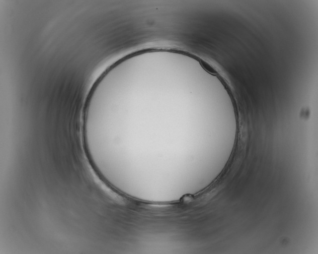 X0000110921343200907091448