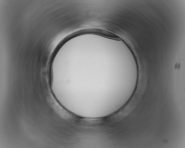 X0000110921344200907091448