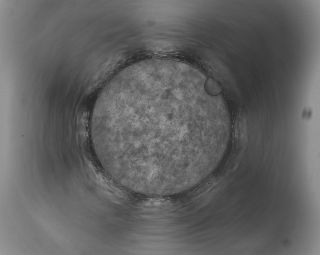 X0000110921346200907091447