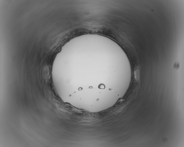 X0000110921347200907091447