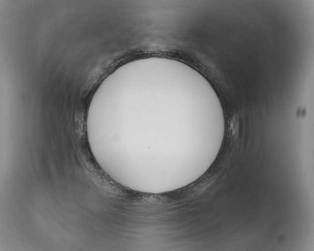X0000110921348200907091447
