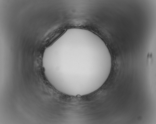 X0000110921349200907091447