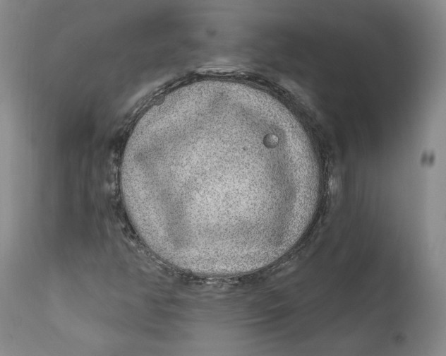 X0000110921350200907091447