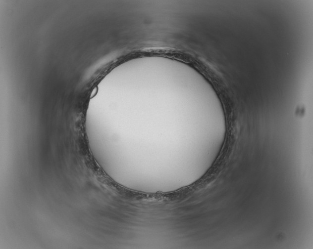 X0000110921351200907091447
