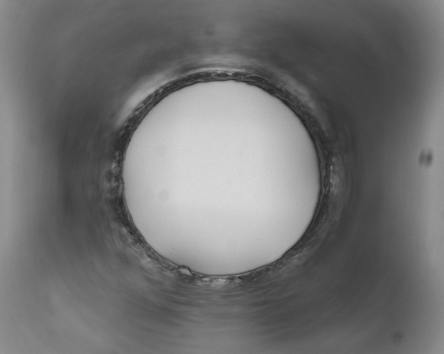X0000110921352200907091447