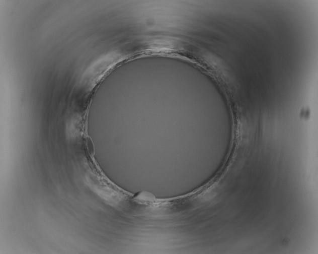 X0000110921353200907091447