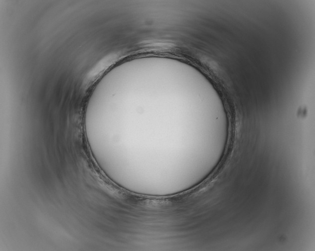 X0000110921354200907091447