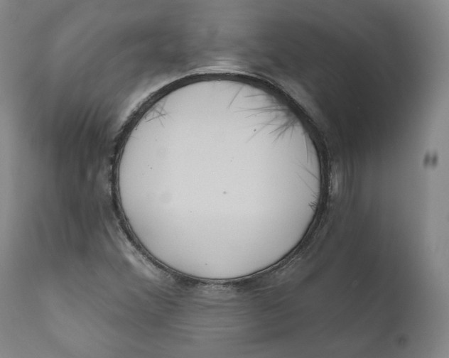 X0000110921356200907091447