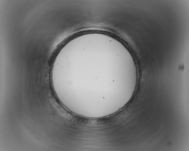 X0000110921360200907091447