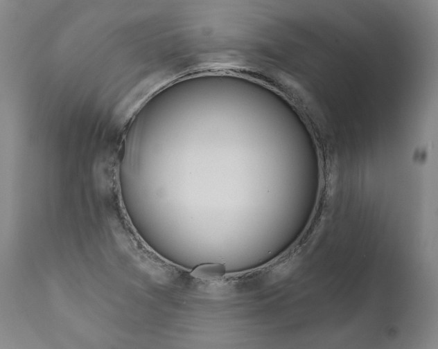 X0000110921361200907091447