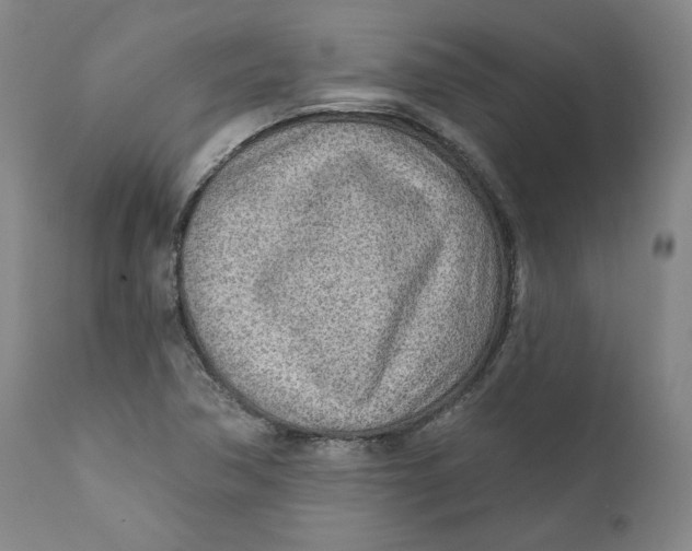 X0000110921362200907091447