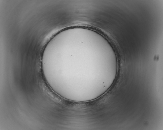 X0000110921363200907091447