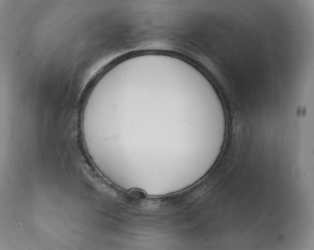 X0000110921364200907091447
