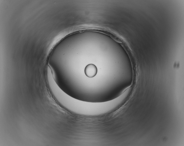 X0000110921365200907091447