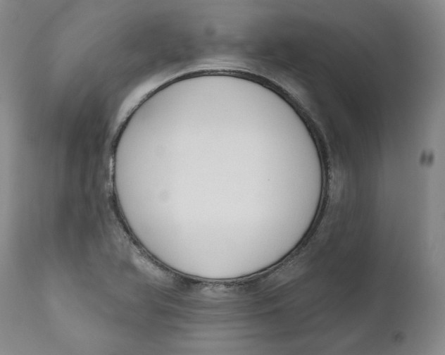 X0000110921366200907091447