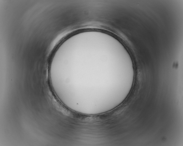 X0000110921368200907091447