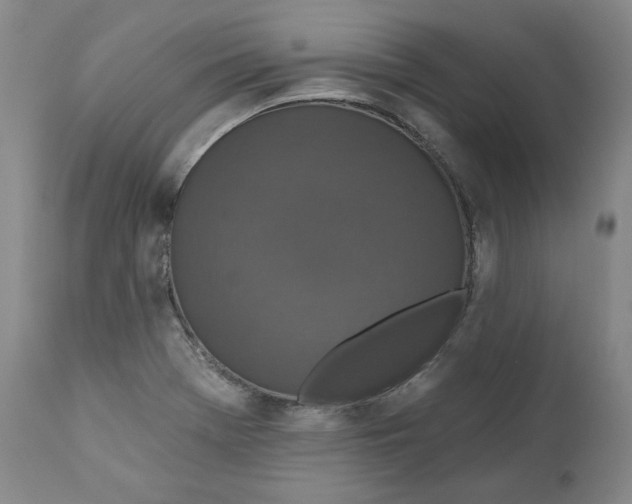X0000110921369200907091447