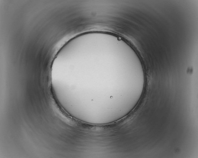 X0000110921371200907091447