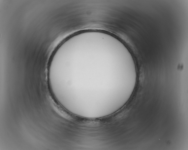 X0000110921372200907091447