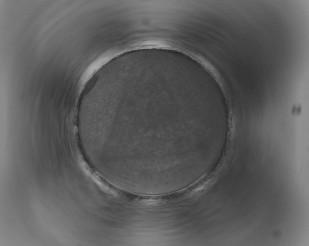 X0000110921373200907091447