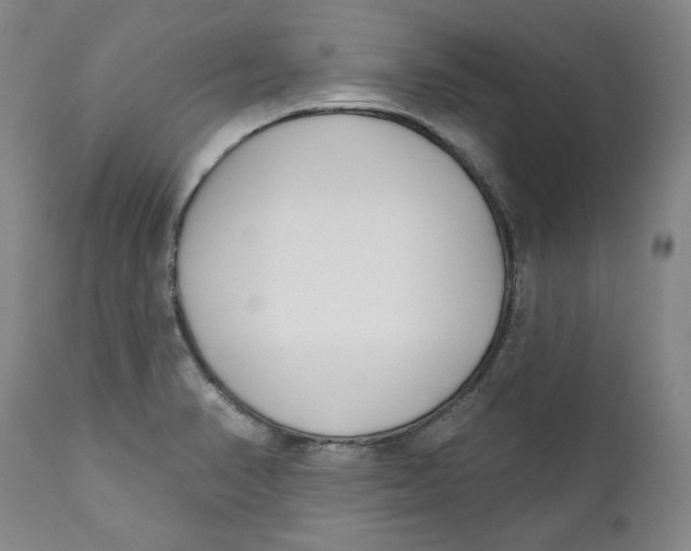 X0000110921374200907091447
