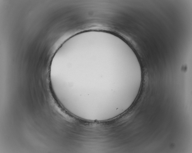 X0000110921375200907091447