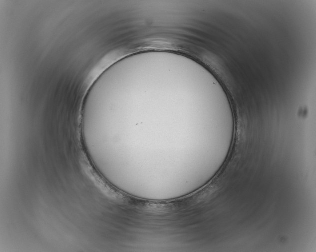 X0000110921378200907091446