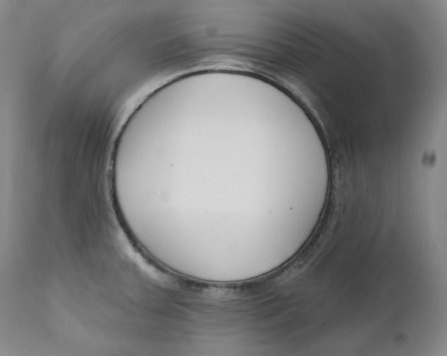 X0000110921379200907091446