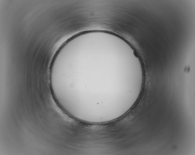 X0000110921380200907091446