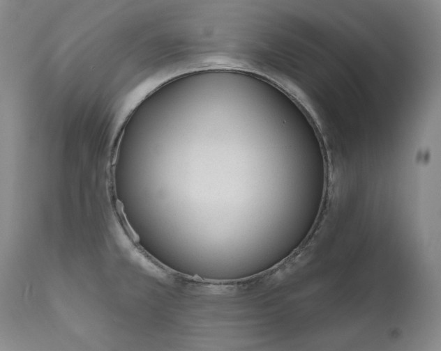 X0000110921381200907091446