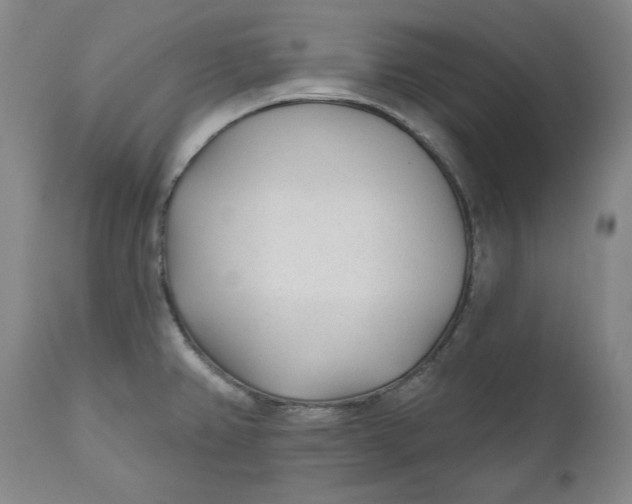 X0000110921382200907091446