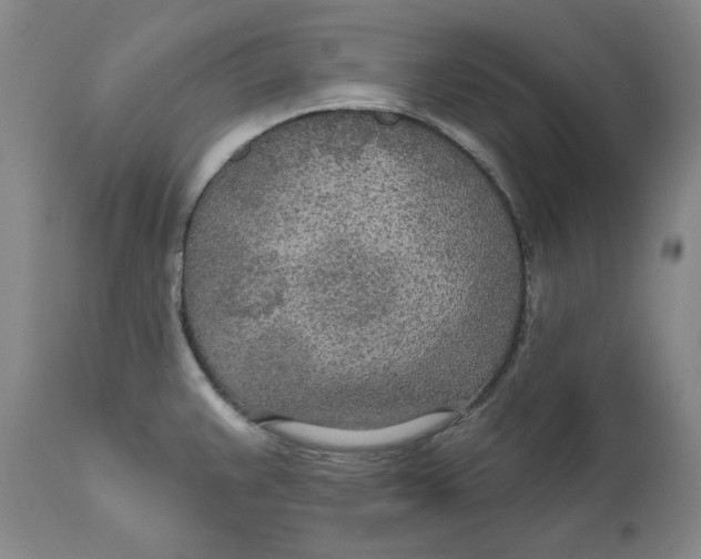X0000110921383200907091446