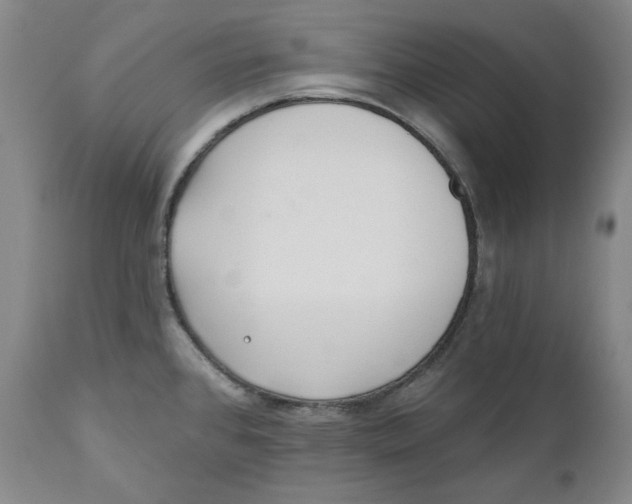 X0000110921384200907091446