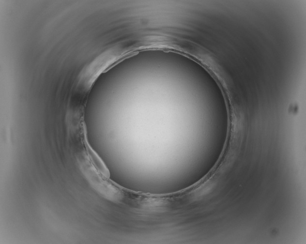 X0000110921385200907091446