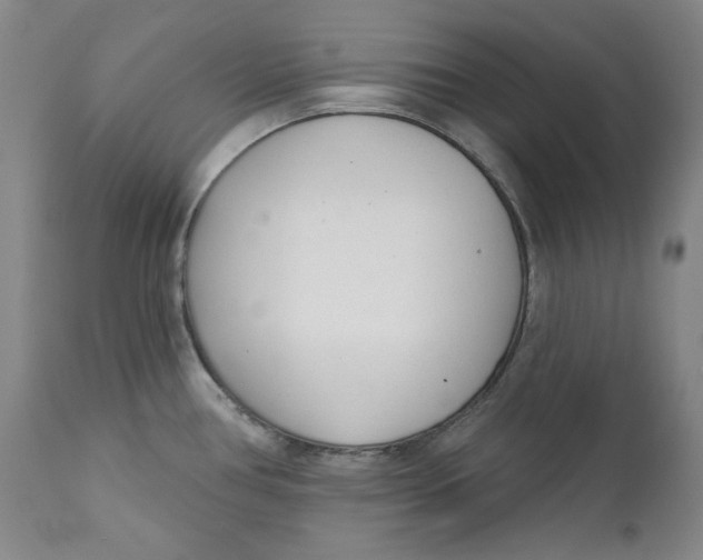 X0000110921386200907091446