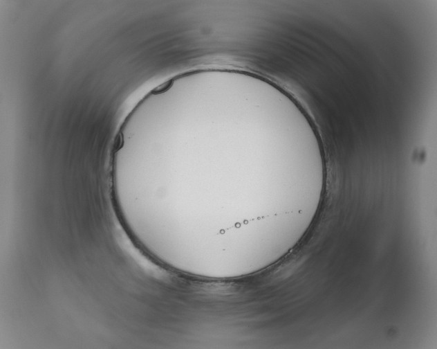 X0000110921387200907091446