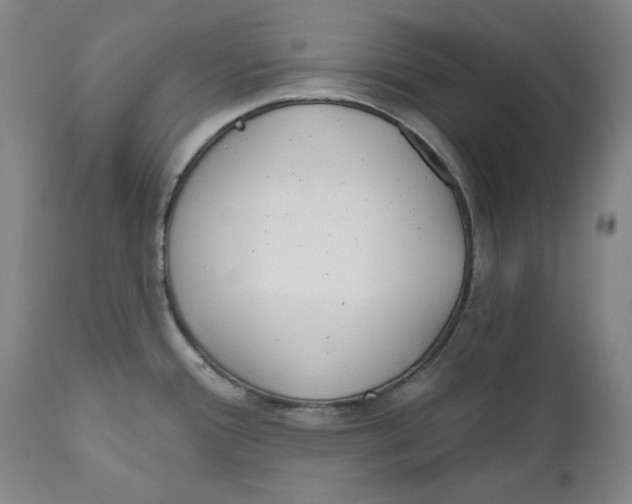 X0000110921388200907091446