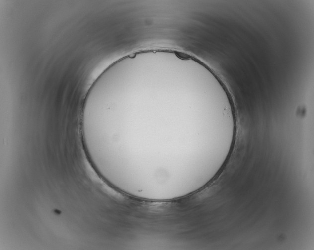 X0000110921390200907091446