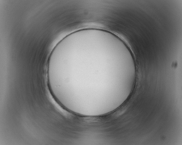 X0000110921391200907091446