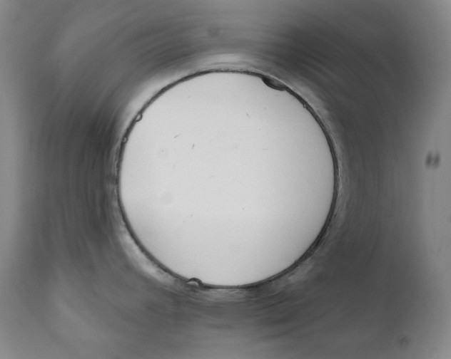 X0000110921392200907091446