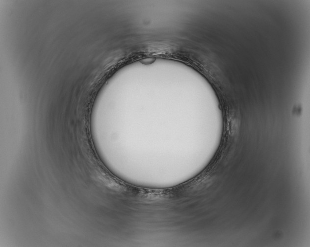 X0000110921393200907091445