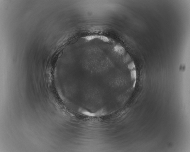 X0000110921394200907091445
