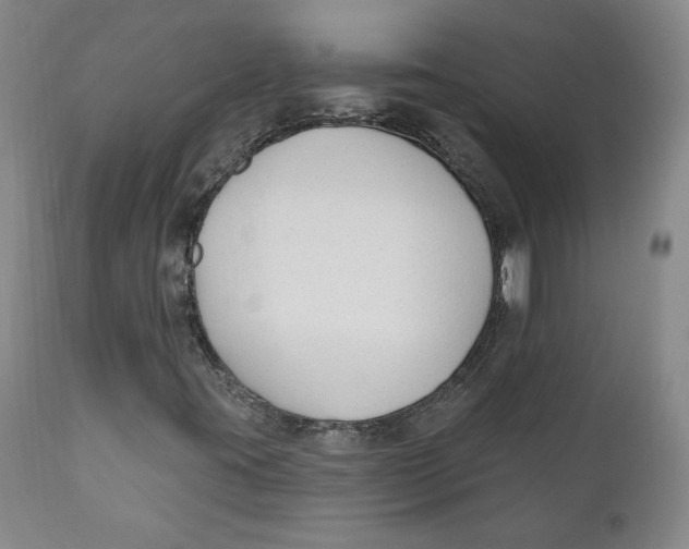 X0000110921395200907091445