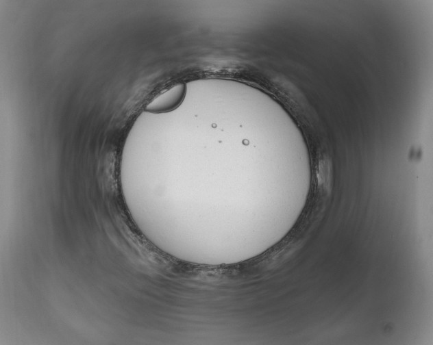 X0000110921396200907091446